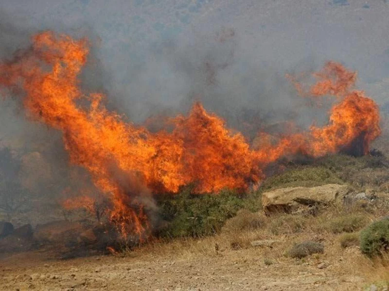 Συναγερμός στην Πυροσβεστική – Φωτιά στη Σύλλαμο Ηρακλείου